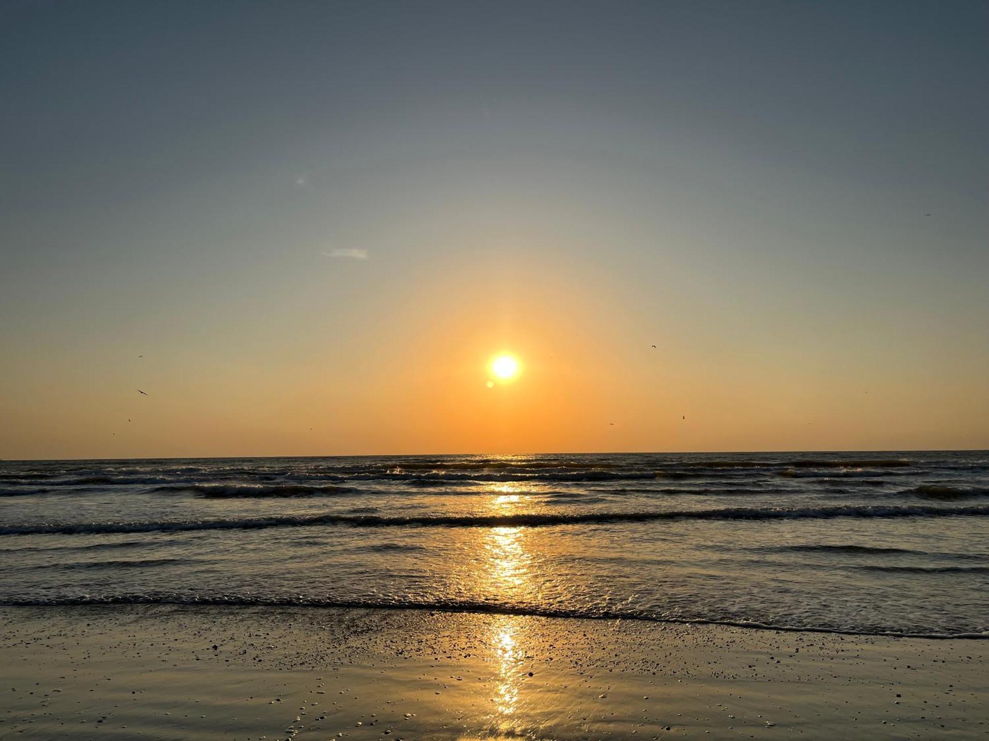 Excelsior Apartaments Mamaia Nord Năvodari Eksteriør billede